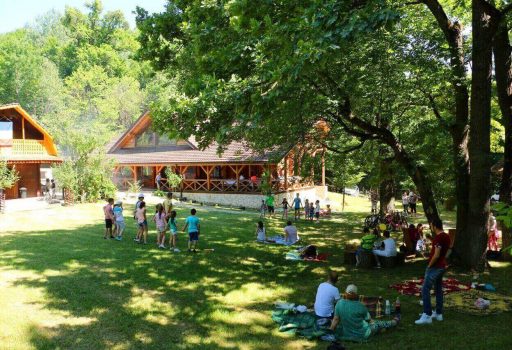 Cabana in mijlocul unei paduri salbatice, langa Buzau