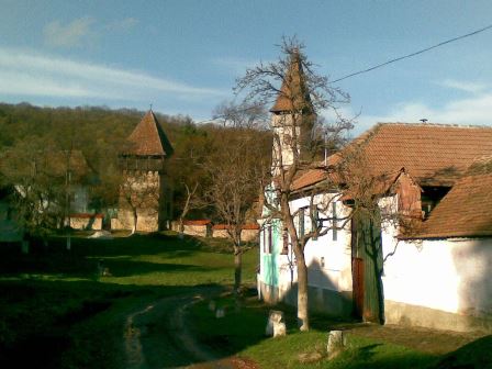 Convivium Transilvania